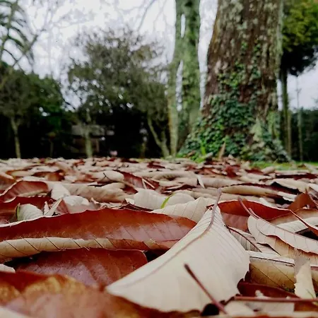 Casita Tranquila, Con Y Cerca De Playas Muxia