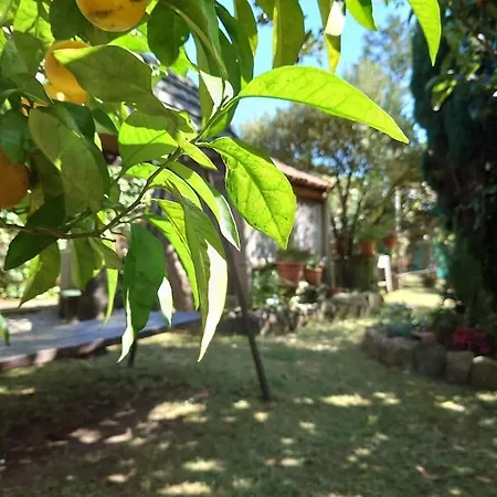 Casita Tranquila, Con Y Cerca De Playas Nyaraló *