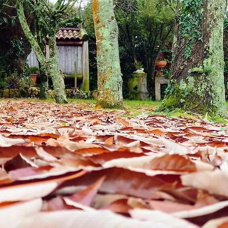 Nyaraló Casita Tranquila, Con Y Cerca De Playas