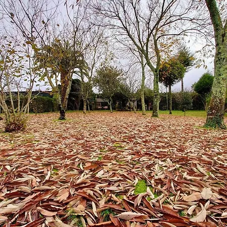 Casita Tranquila, Con Y Cerca De Playas Holiday home