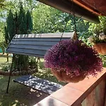Casita Tranquila, Con Y Cerca De Playas