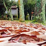 別荘 Casita Tranquila, Con Y Cerca De Playas